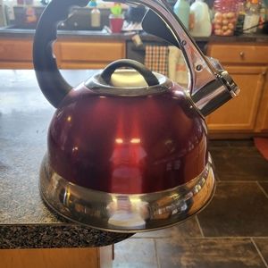 Red shiny teapot